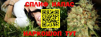 СК Бугуруслан