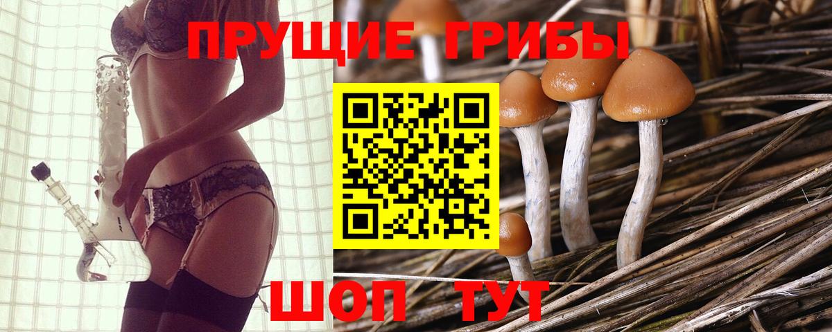 Галлюциногенные грибы ЛСД  Вход с VPN  Галлюциногенные грибы прущие грибы  Полысаево 